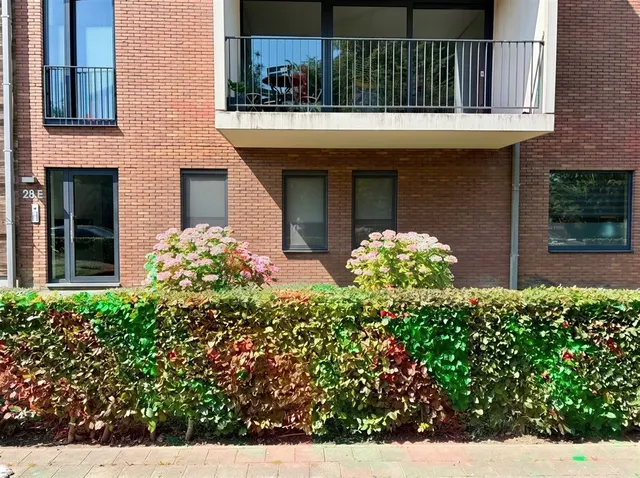 Appartement te koop in Sint-Agatha-Berchem – 1/10