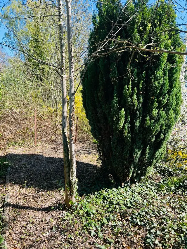 Huis te koop in Charleroi – 1/10