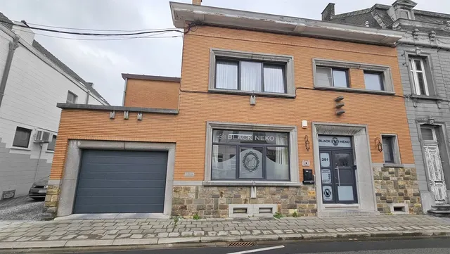Maison à vendre à Quaregnon – 1/10