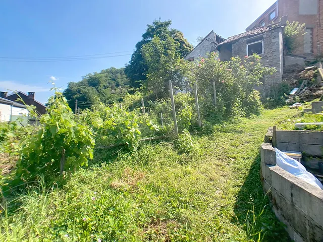 Maison à vendre à Liège – 1/10