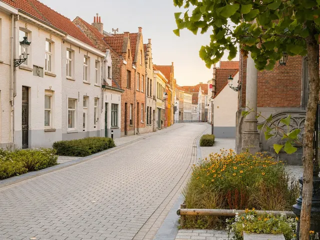 Maison à vendre à Brugge – 1/10