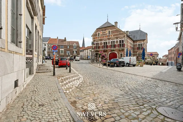 Herenhuis te koop in Tongeren-Borgloon – 1/10