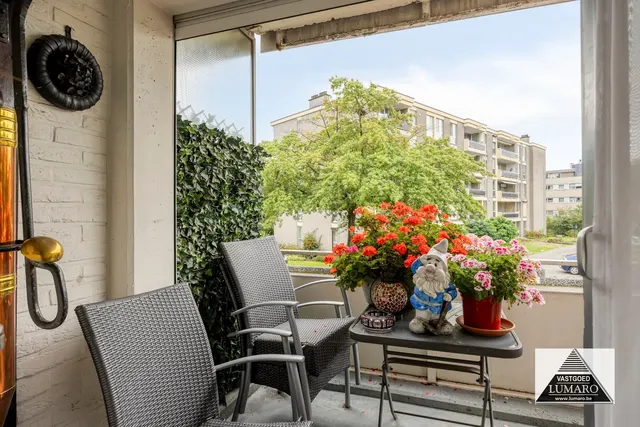 Appartement te koop in Maaseik – 1/10