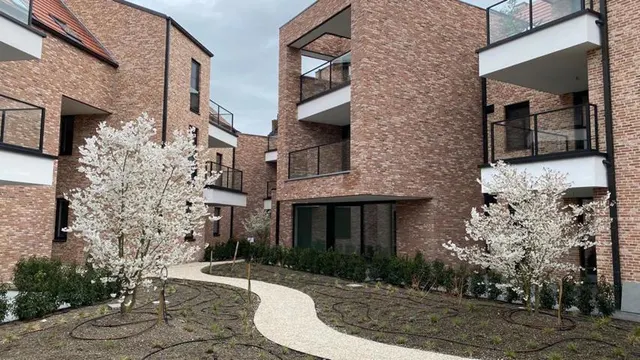 Appartement à louer à Zoutleeuw – 1/10
