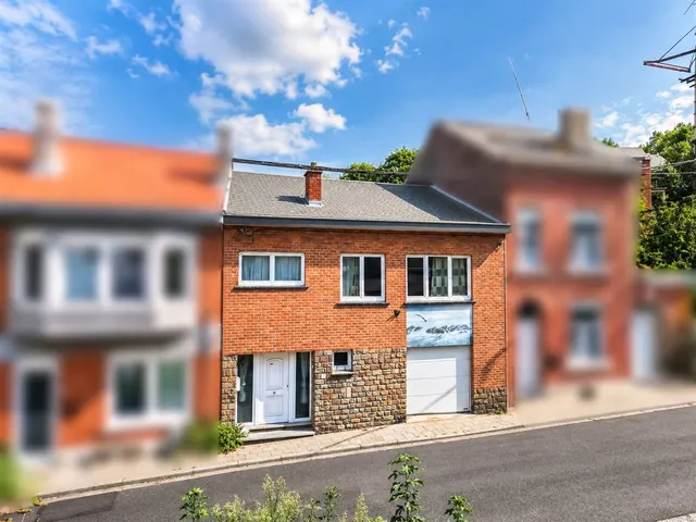 Maison à vendre à Flémalle – 1/10