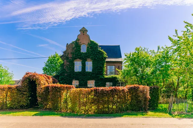 Maison à vendre à Willebroek – 1/10