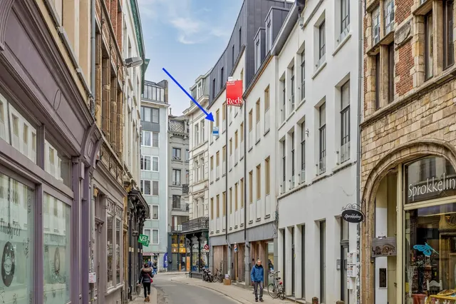 Duplex te koop in Antwerpen – 1/10