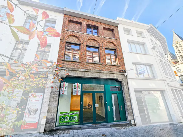 Maison/Villa te koop in Tournai – 1/10
