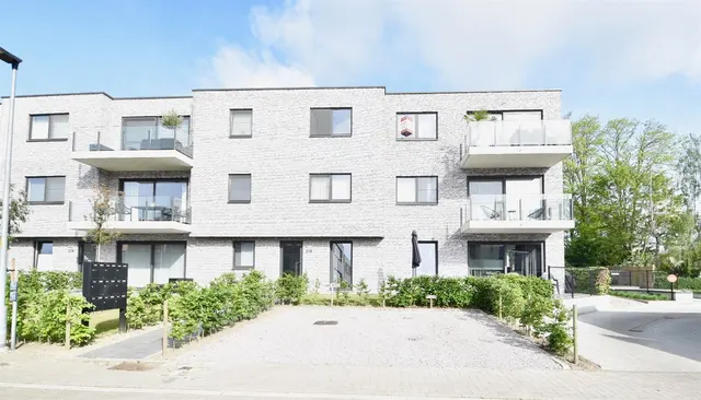 Appartement à louer à Hamme – 1/10