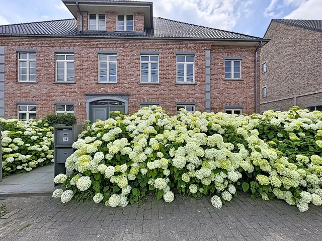 Appartement à louer à Grimbergen – 1/10
