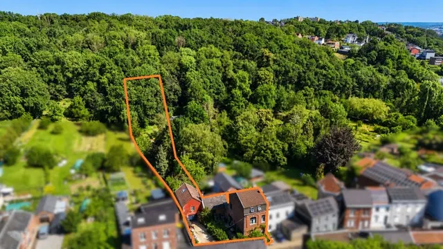 Maison à vendre à Vivegnis – 1/10