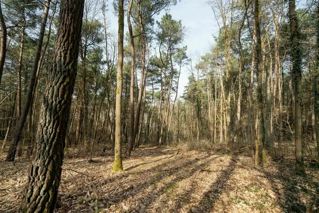 Huis te koop in Aarschot – 1/10