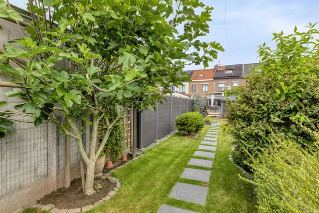 Maison à vendre à Tienen – 1/10