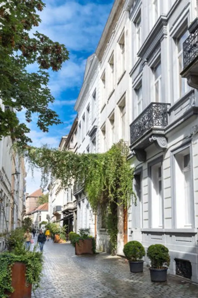 Maison à vendre à Ixelles – 1/10