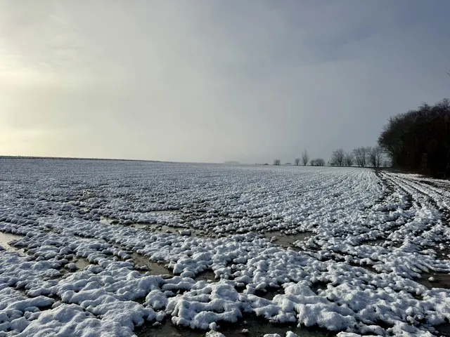 Villa te koop in Wannegem-Lede – 1/10