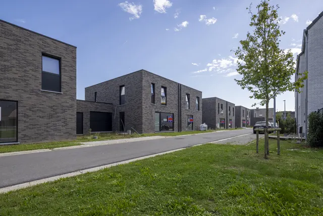 Huis à louer à Berlare – 1/10