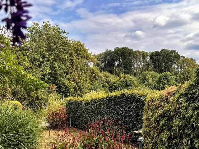 Maison à vendre à La Hulpe – 1/10
