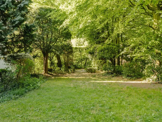 House à louer à Ixelles – 1/10