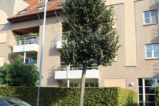 Apartment for rent in Oelegem – 1/10