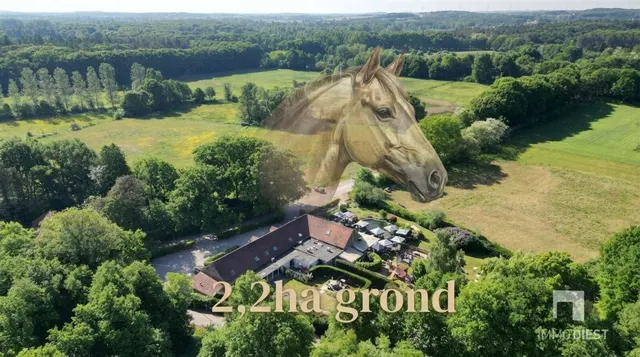 Villa à vendre à Tessenderlo – 1/10