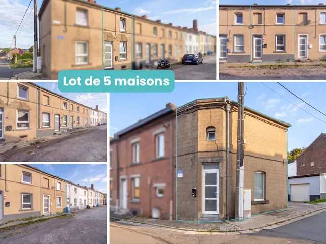 House for sale in Chatelineau – 1/10