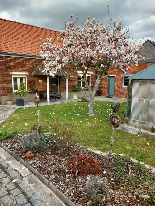 Huis te huur in Jurbise Masnuy-Saint-Jean – 1/10