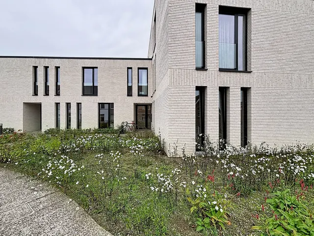 Appartement à louer à Rupelmonde – 1/9