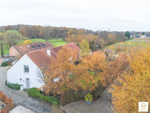 Maison à vendre à Reet – 1/10
