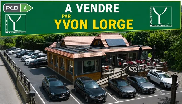 Huis te koop in Montigny-le-Tilleul – 1/10
