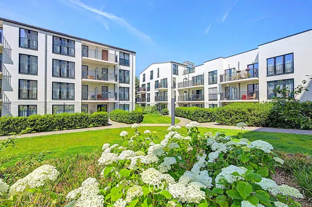 Studio for rent in Sint-Lambrechts-Woluwe – 1/9