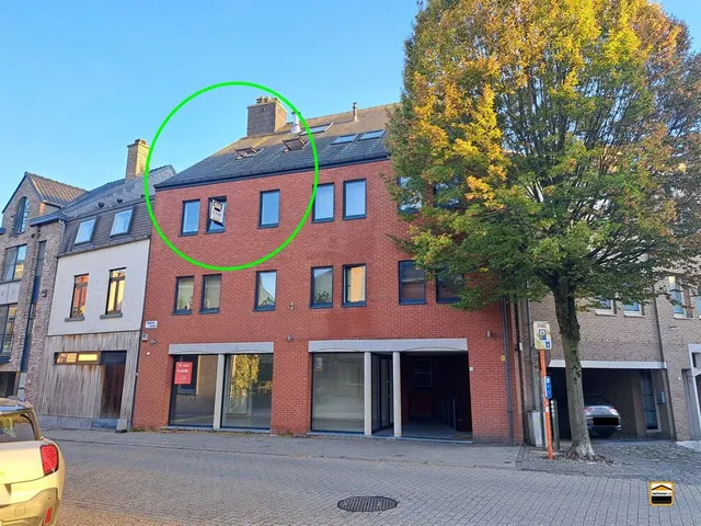 Apartment for rent in Tongeren-Borgloon – 1/10