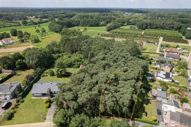 Huis à vendre à M Te Schriek – 1/10