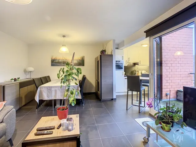 Apartment for rent in Oudenaarde – 1/10