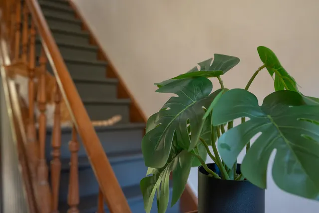 Huis te koop in Forrières – 1/9