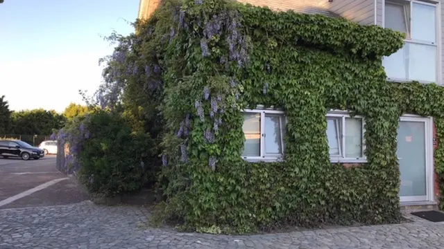 Huis te koop in Bouwel – 1/8