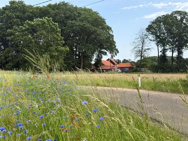 Maison à vendre à Holsbeek – 1/10