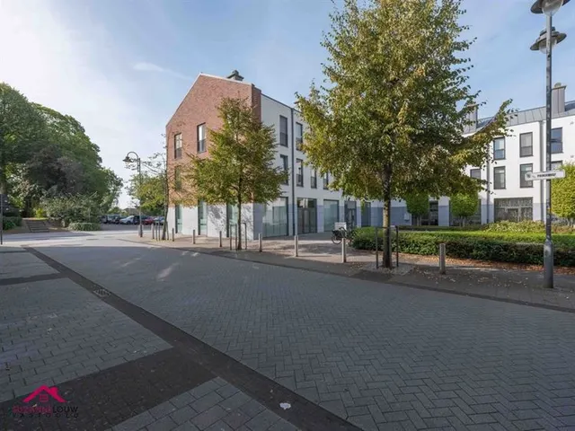 Appartement te huur in Maaseik – 1/10