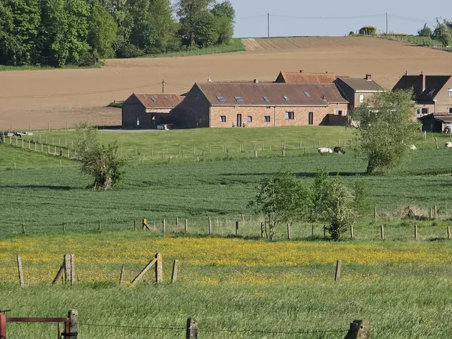 Hoeve te koop in Galmaarden – 1/10