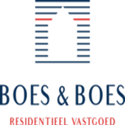 Logo boesenboes.be