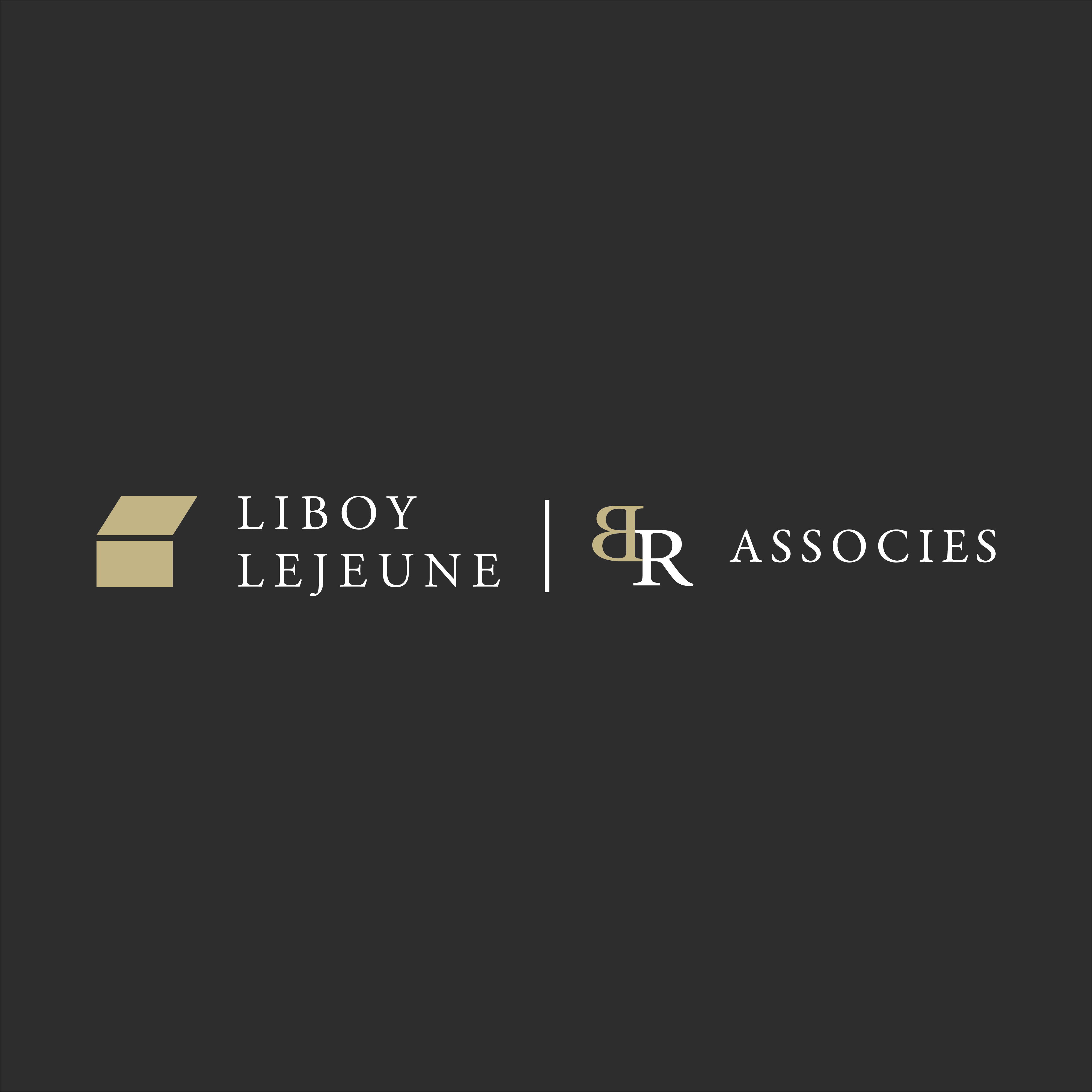 Logo Br Immobilier