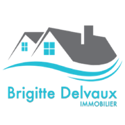 Logo delvauximmo.be