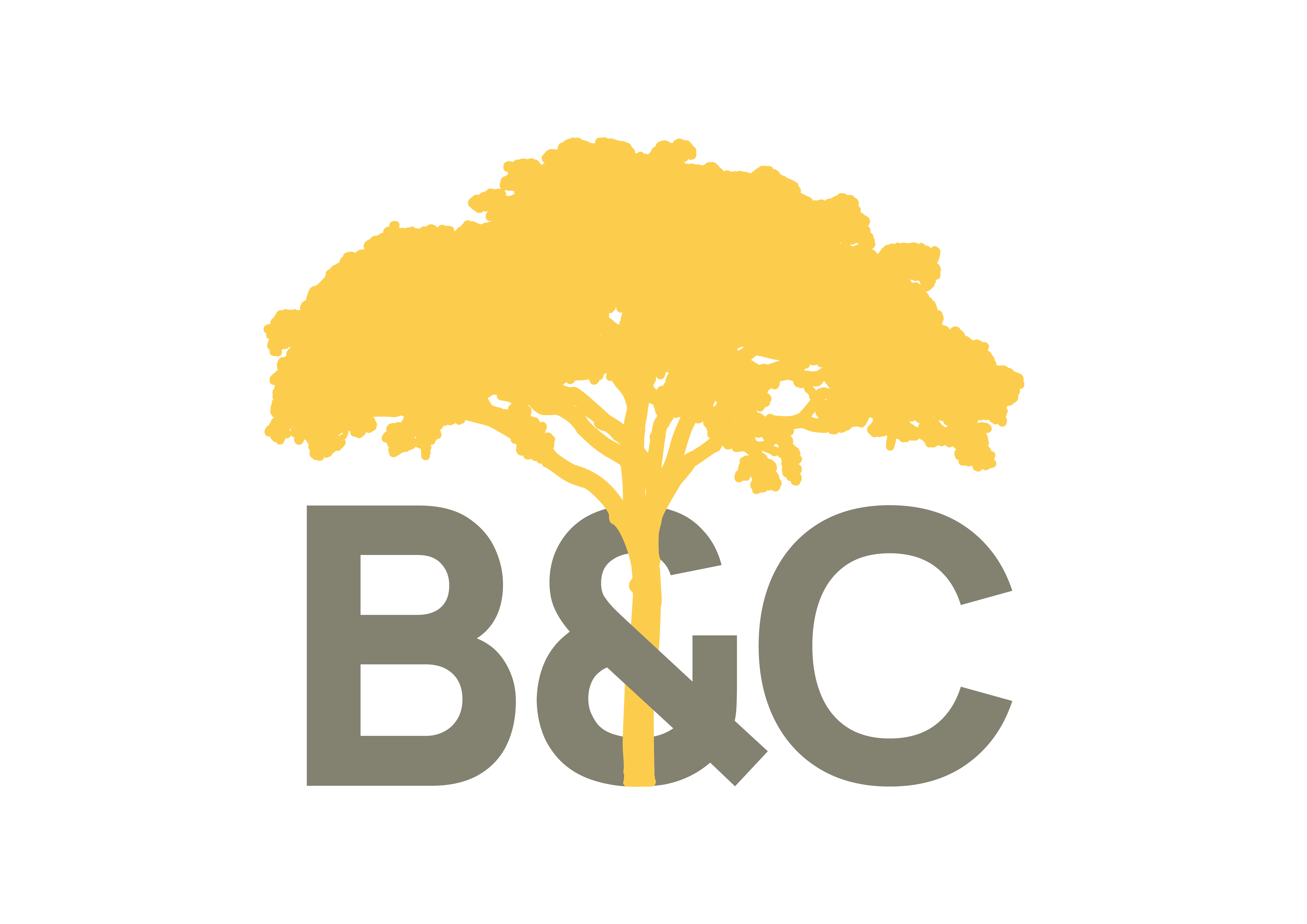 Logo Bc Immo