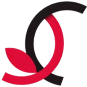 Logo Carineconti