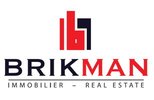 Logo brikman.be